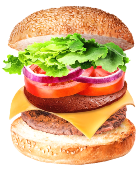 Burger with Veg Slice